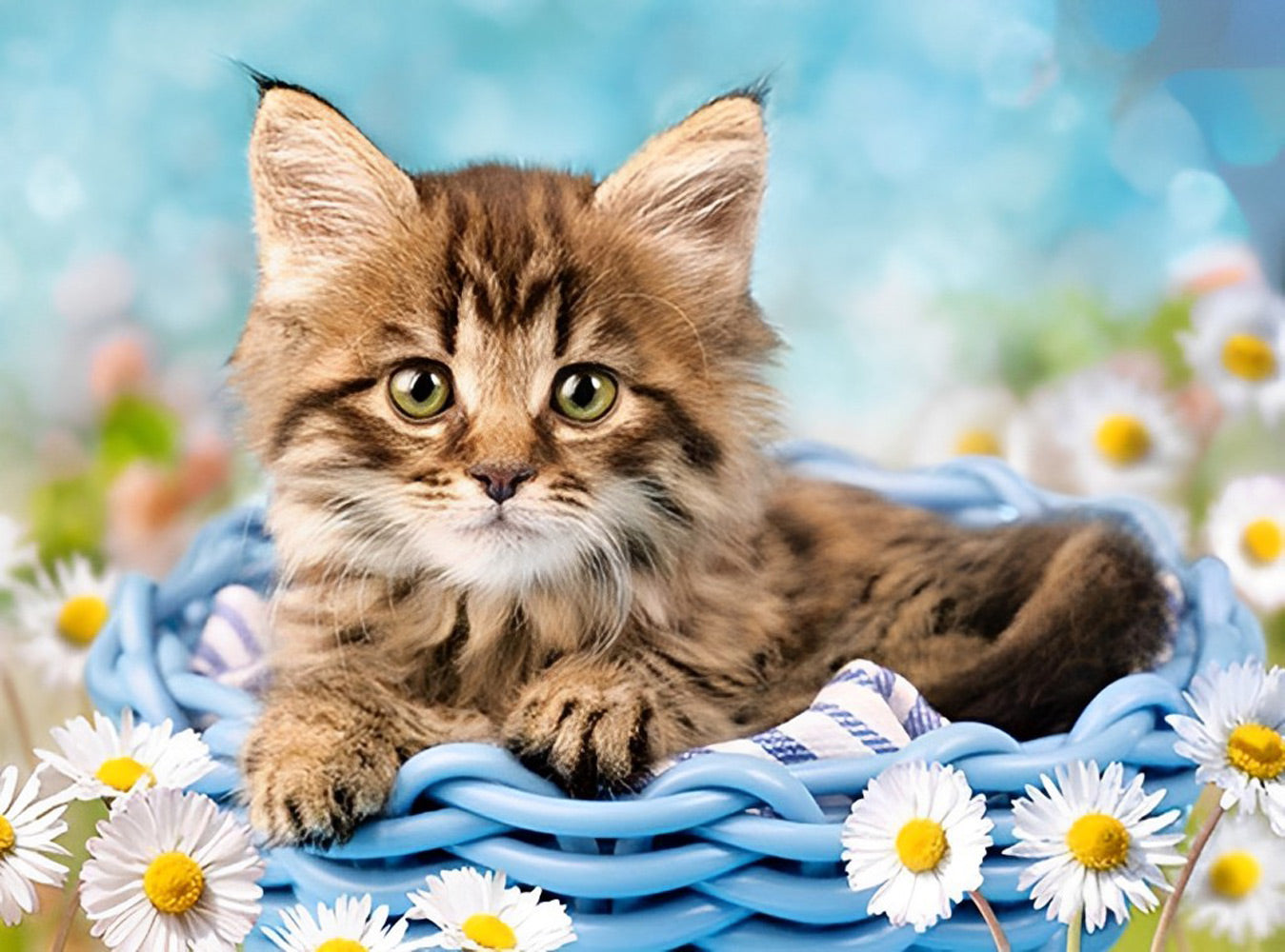 Chat dans le Panier et Pâquerettes Broderie Diamant
