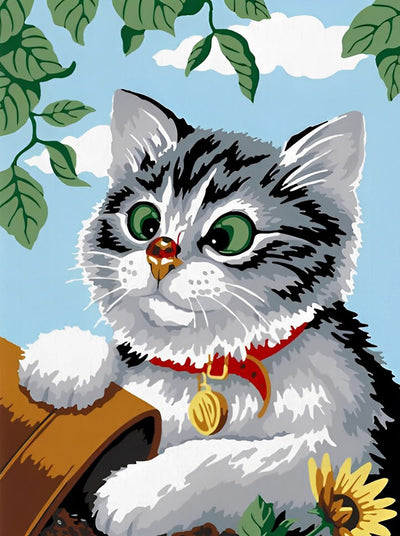 Chat de American Shorthair aux Yeux Strabisme Broderie Diamant