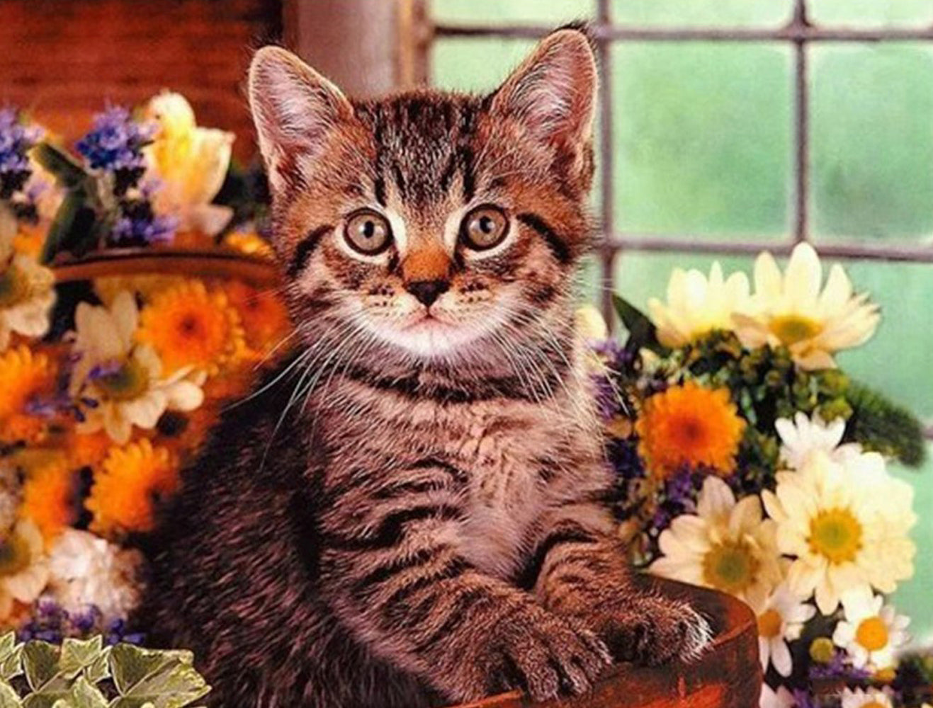 Chat et Marguerites Broderie Diamant