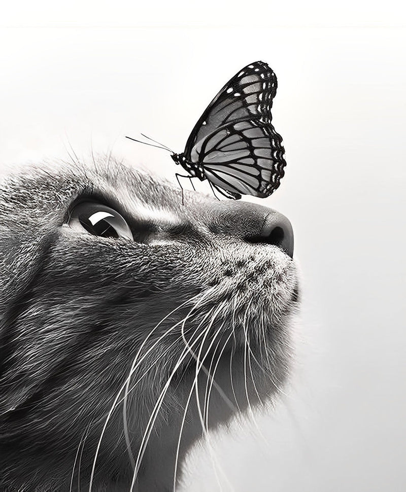 Chat et Papillon en Noir et Blanc Broderie Diamant