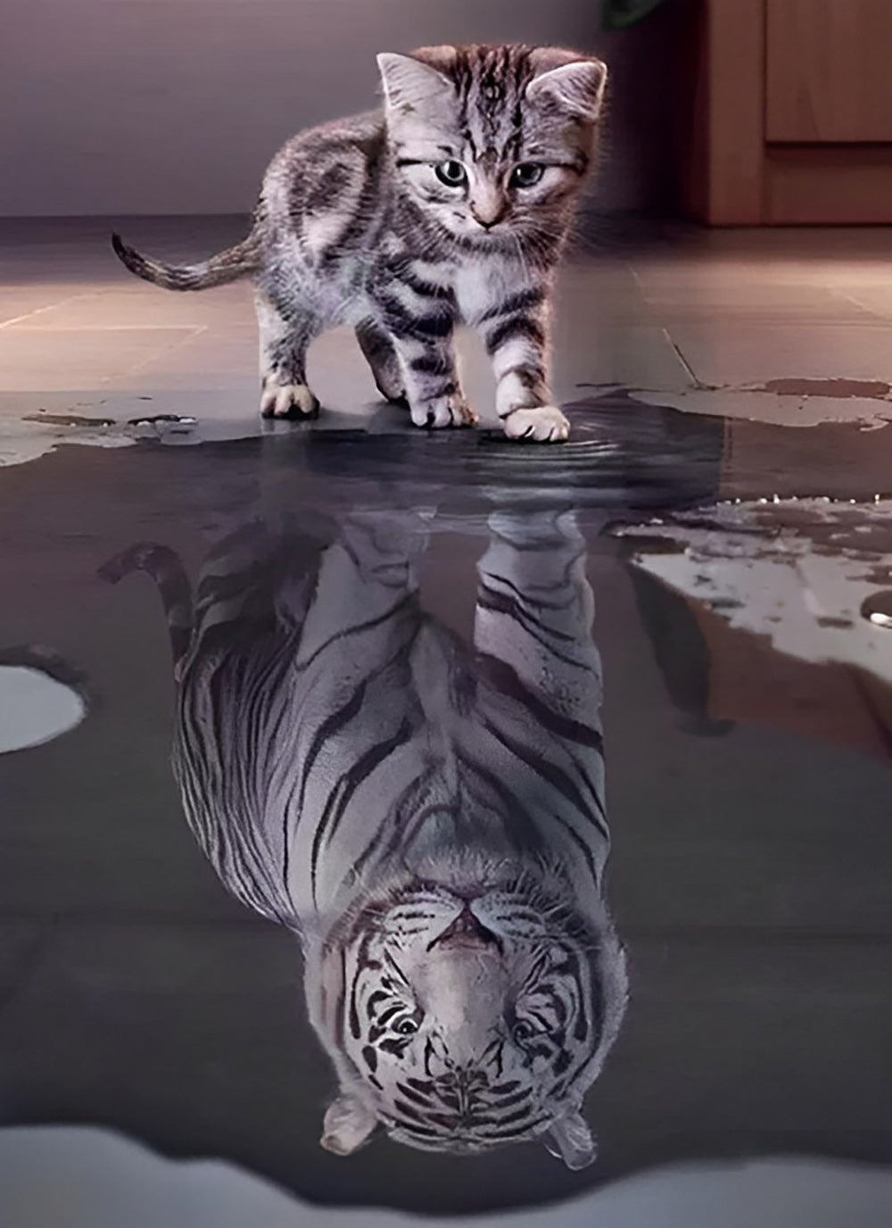 Chat et Tigre dans le Reflet Broderie Diamant