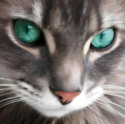 Chat Gris aux Yeux Turquoise Broderie Diamant