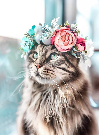 Chat Maine Coon en Couronne de Roses Broderie Diamant