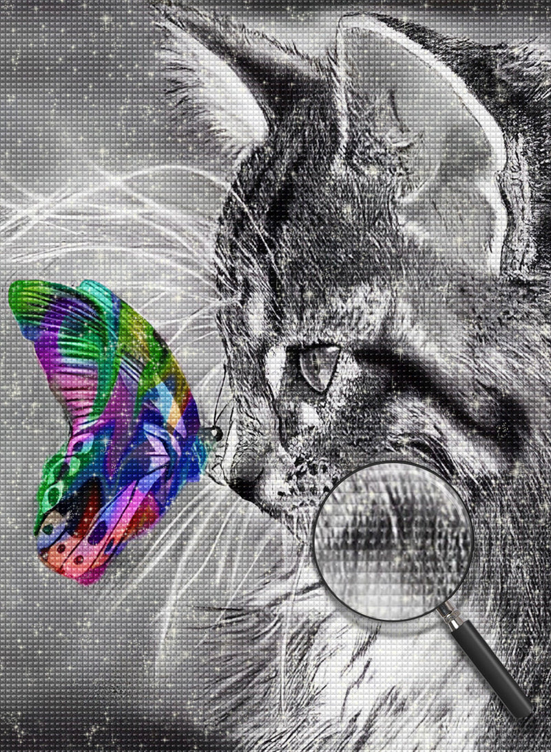 Chat Maine Coon et Papillon Coloré Broderie Diamant