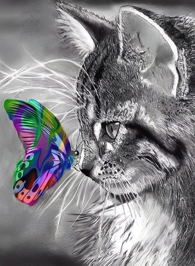 Chat Maine Coon et Papillon Coloré Broderie Diamant