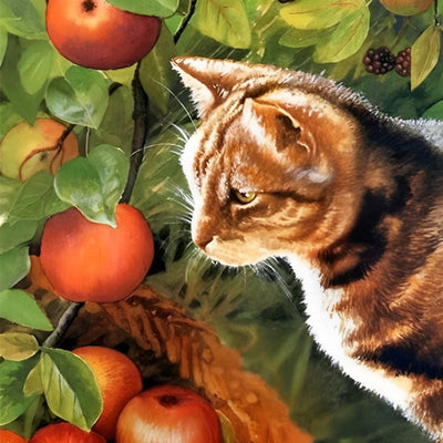 Chat Marron et Pommes Broderie Diamant
