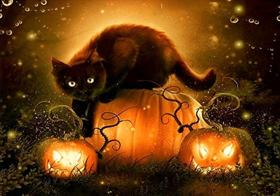 Chat Noir Couché sur la Lanterne en Citrouille Broderie Diamant