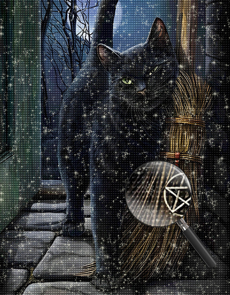 Chat Noir et Balai de Sorcier Broderie Diamant