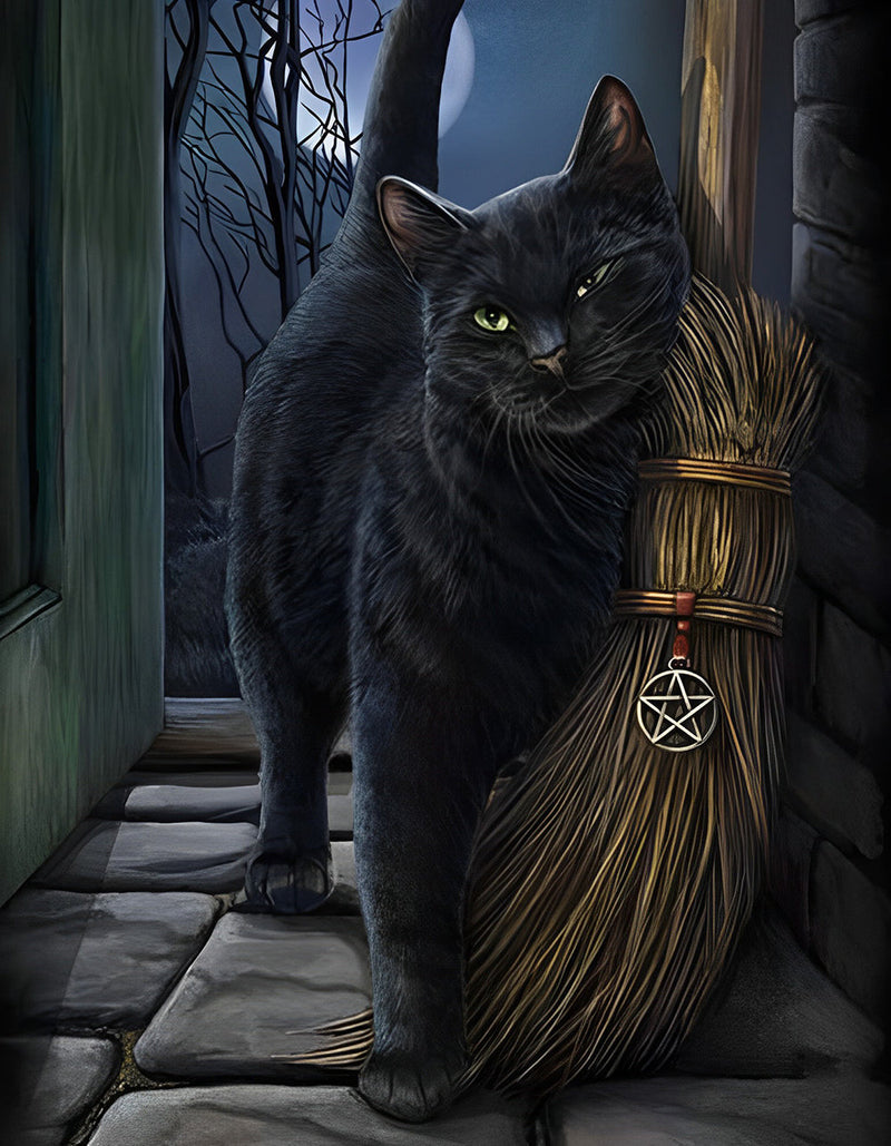 Chat Noir et Balai de Sorcier Broderie Diamant