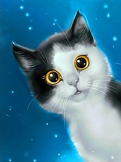 Chat Noir et Blanc Curieux Broderie Diamant