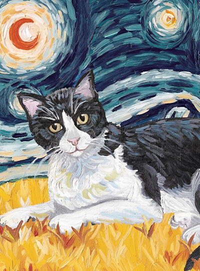 Chat Noir et Blanc dans la Nuit Etoilée Broderie Diamant