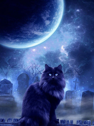 Chat Noir et Nuit de Claire Lune Broderie Diamant