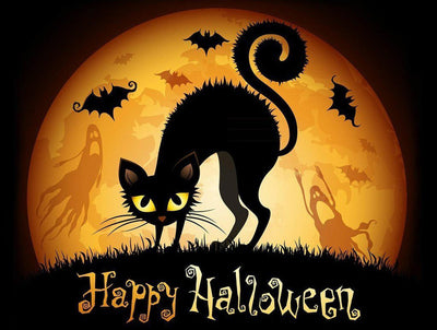 Chat Noir Hérissé et Chauves-souris Broderie Diamant