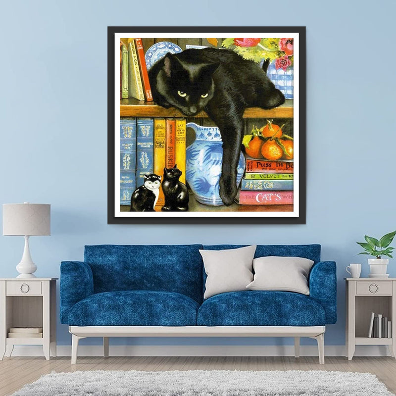 Chat Noir sur l&
