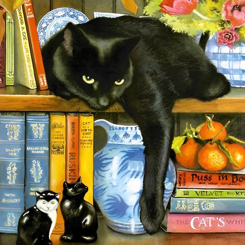 Chat Noir sur l&