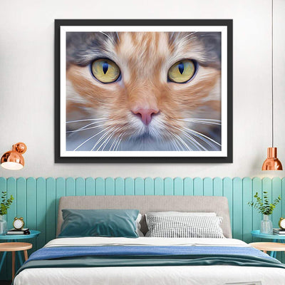 Chat Orange et Gris Impassible Broderie Diamant