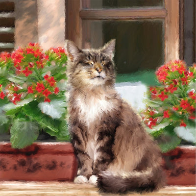 Chat Profitant du Soleil Broderie Diamant