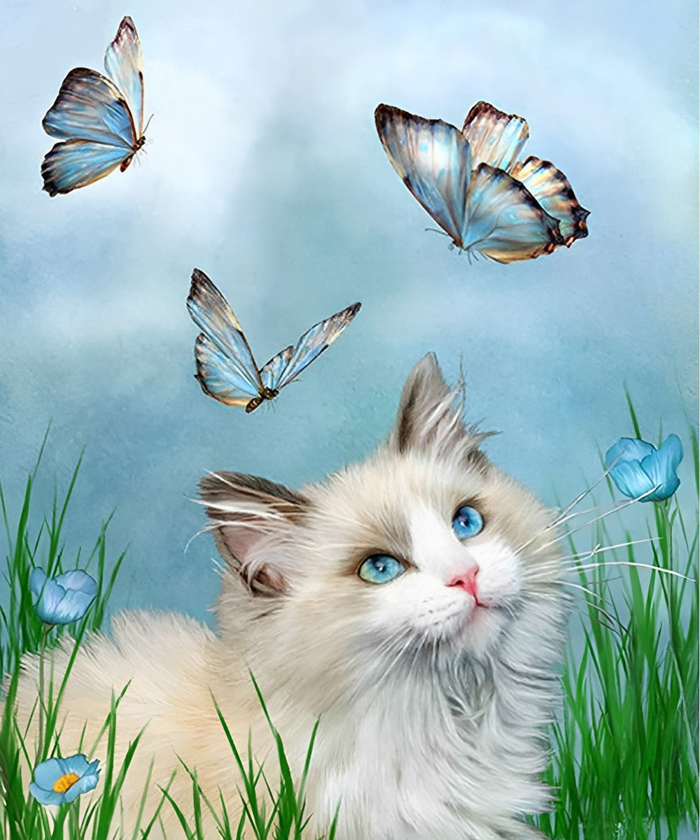 Chat Ragdoll et Papillons Bleus Broderie Diamant