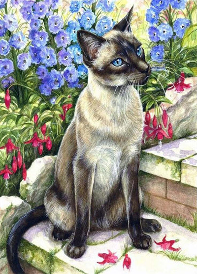 Chat Siamois Mince Broderie Diamant