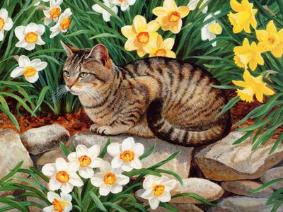 Chat Tanuki Allongé sur le Ventre dans Marguerites Broderie Diamant