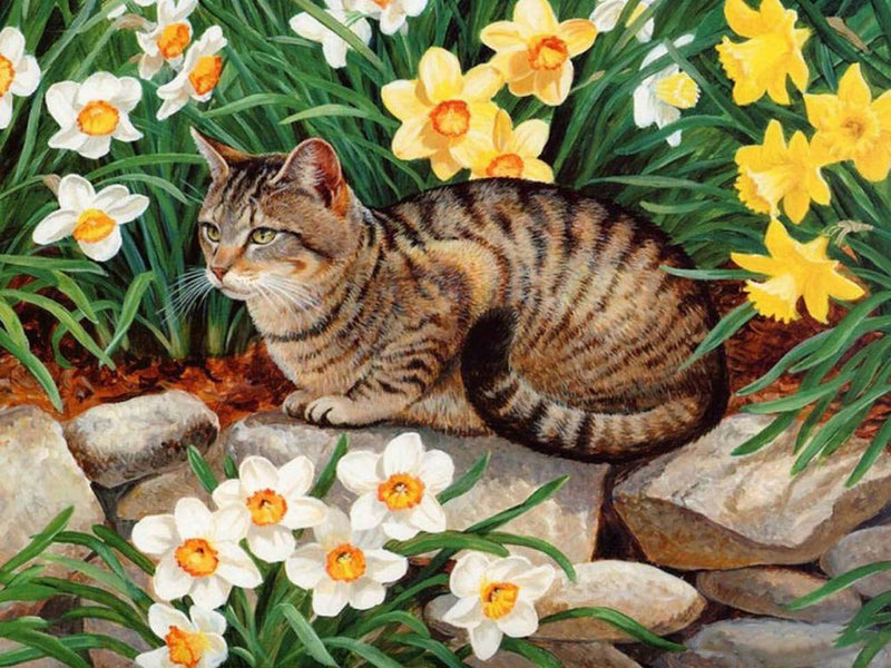 Chat Tanuki Allongé sur le Ventre dans Marguerites Broderie Diamant