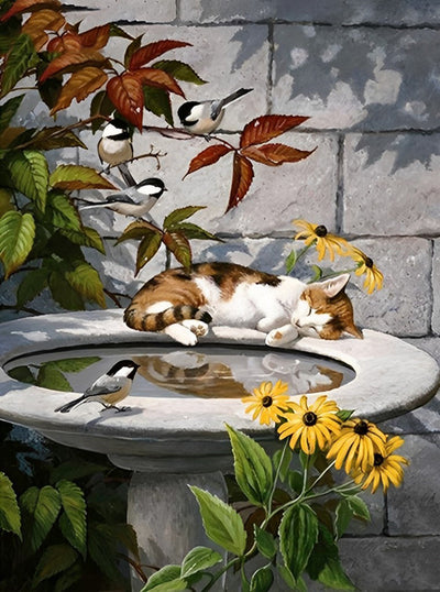 Chat Tricolore Dormant au Bord de la Piscine Broderie Diamant