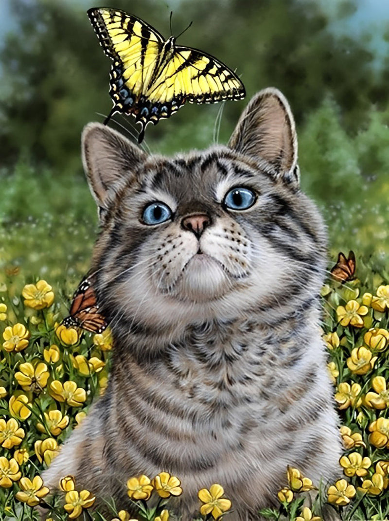 Chaton à la Tête Ronde et Papillon Broderie Diamant