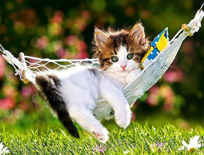 Chaton Allongé dans Hamac Broderie Diamant