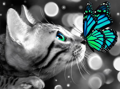 Chaton aux Yeux Bleu-vert avec Papillon Bleu-vert Broderie Diamant