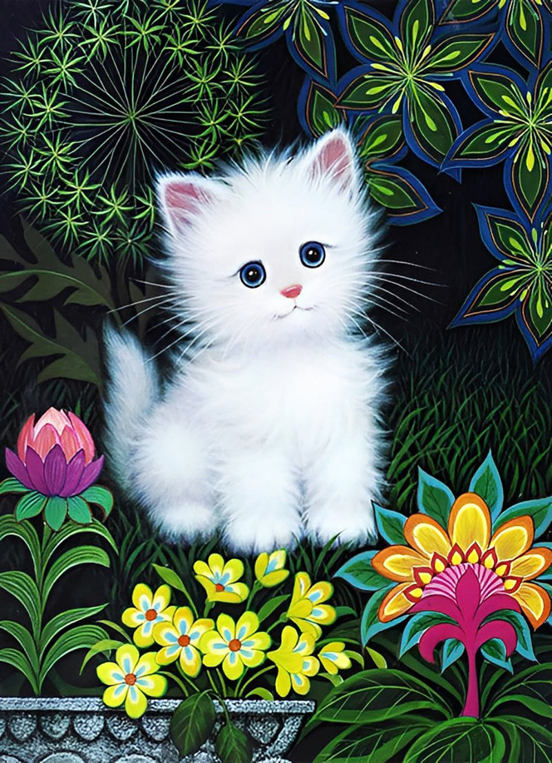 Chaton Blanc à Poil Hirsute sur l&