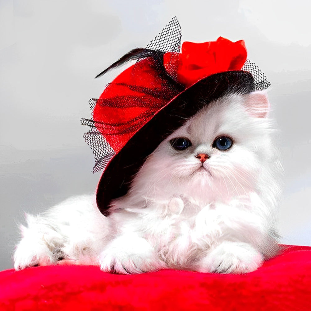 Chaton Blanc Elegant en Chapeau Rouge Broderie Diamant