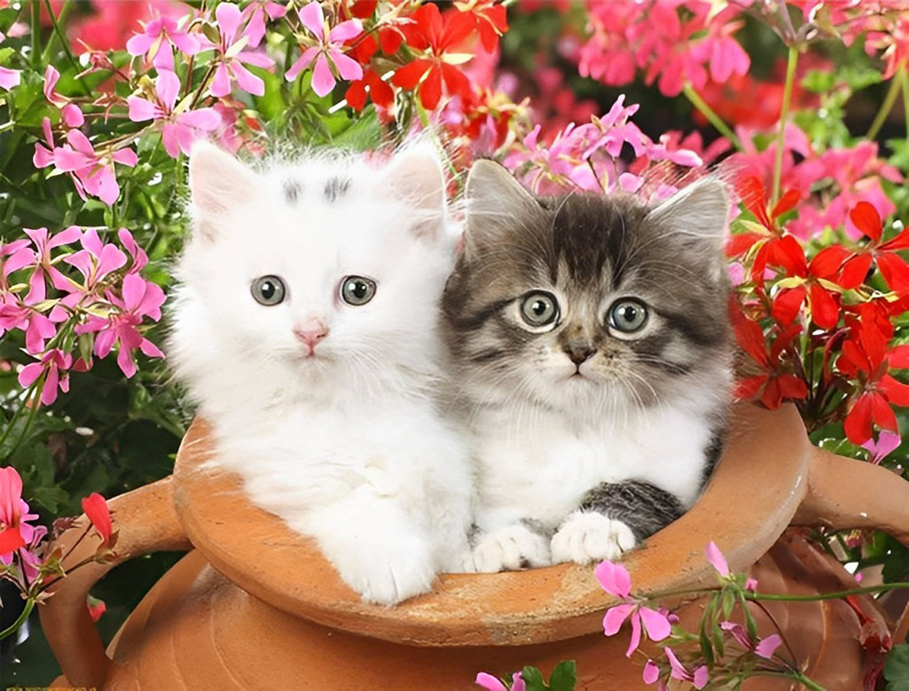Chaton Blanc et Chaton Tigré dans Pot de Fleurs Broderie Diamant