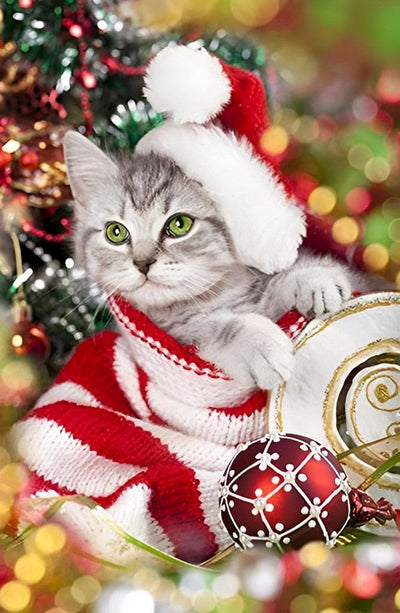 Chaton dans la Chaussette de Noël Broderie Diamant
