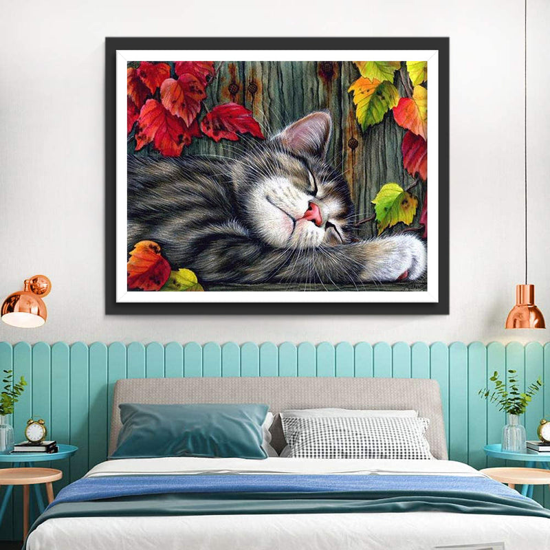 Chaton Dormant dans les Feuilles d&