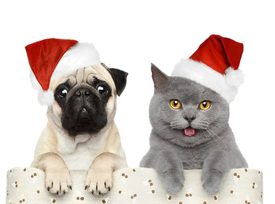 Chaton et Chiot de Noël Fête Broderie Diamant