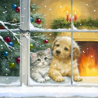 Chaton et Chiot près de la Fenêtre Broderie Diamant