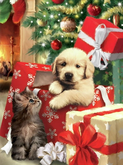 Chaton et Golden Retriever dans la Boîte Broderie Diamant