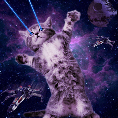 Chaton Guerrier des Rayons Interstellaires Broderie Diamant