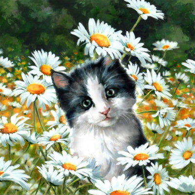 Chaton Noir et Blanc parmi les Pâquerettes Blanches Broderie Diamant
