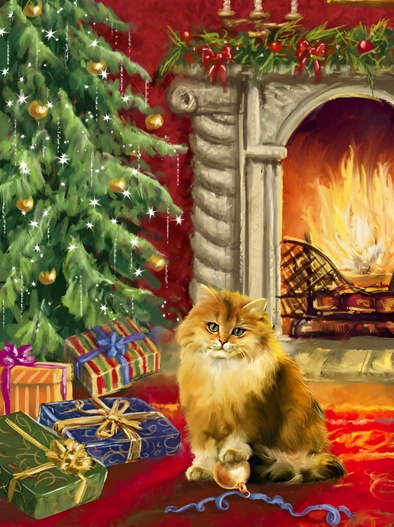 Chaton Orange à Poil Long et les Cadeaux Broderie Diamant