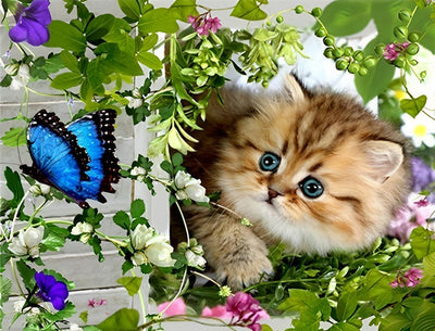 Chaton Orange Attrapant des Papillons Broderie Diamant