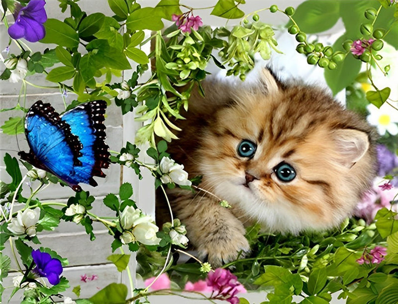 Chaton Orange Attrapant des Papillons Broderie Diamant