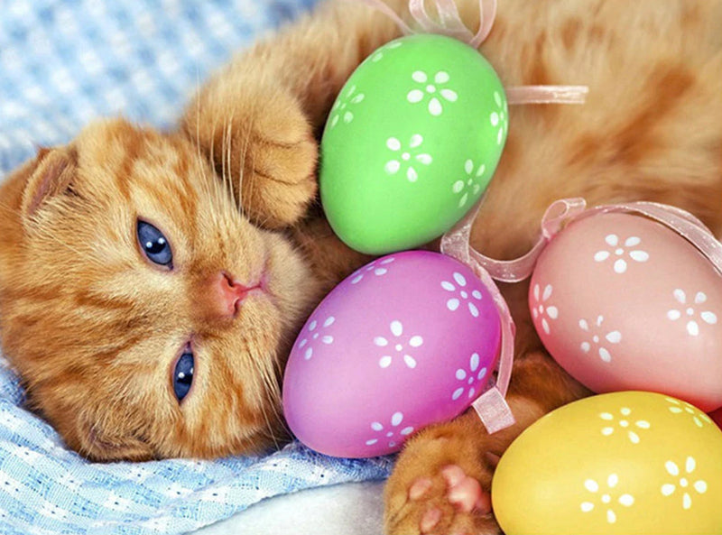 Chaton Orange avec des Œufs de Pâques Broderie Diamant