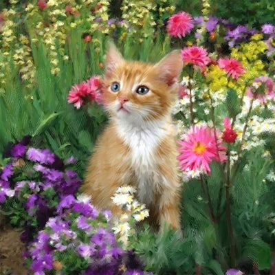 Chaton Orange parmi les Fleurs Broderie Diamant