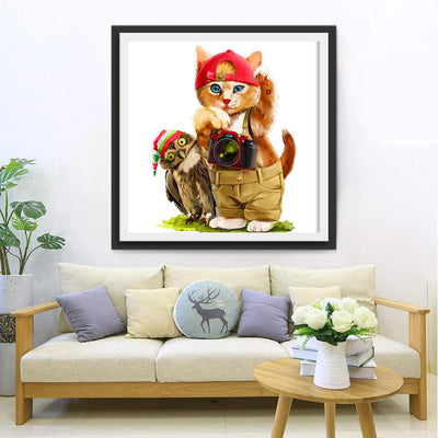 Chaton Orange Photographe et Hibou Broderie Diamant