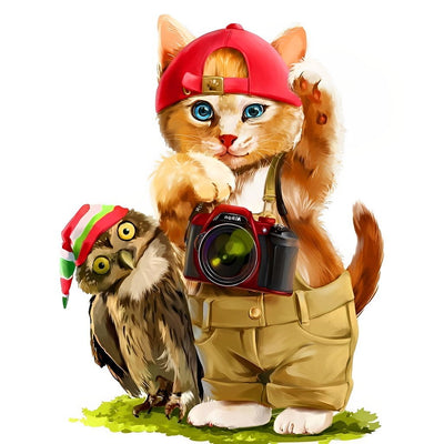 Chaton Orange Photographe et Hibou Broderie Diamant
