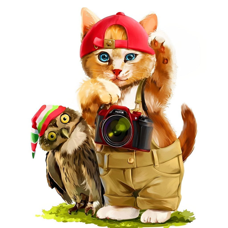 Chaton Orange Photographe et Hibou Broderie Diamant