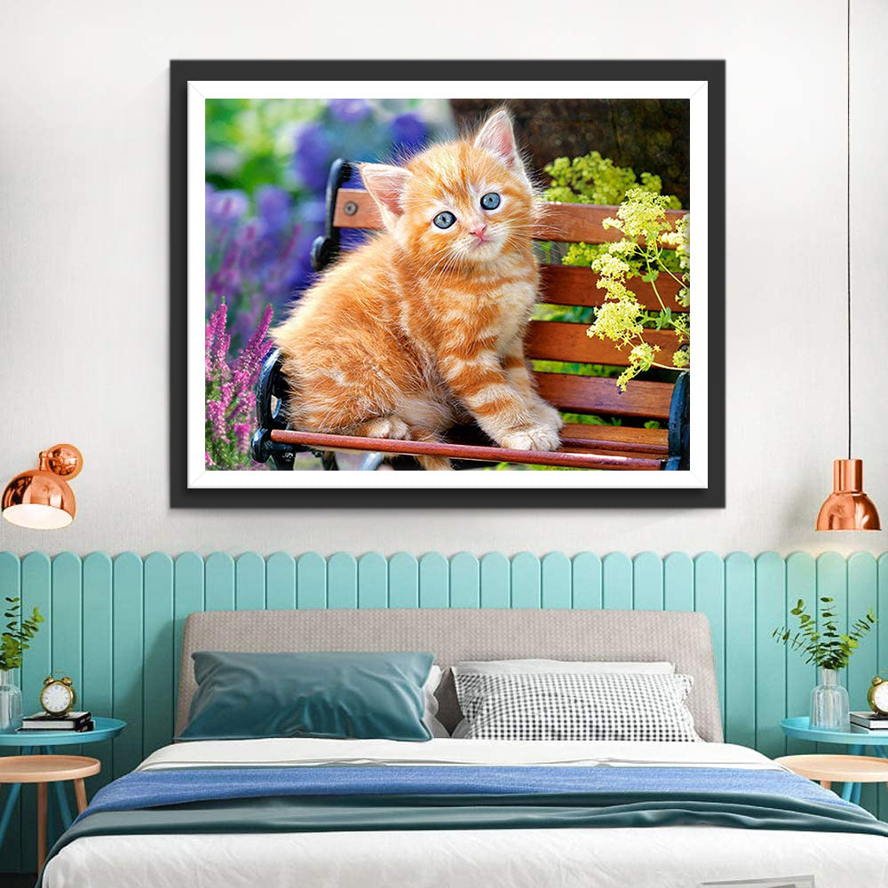 Chaton Orange sur Banc de Jardin Broderie Diamant