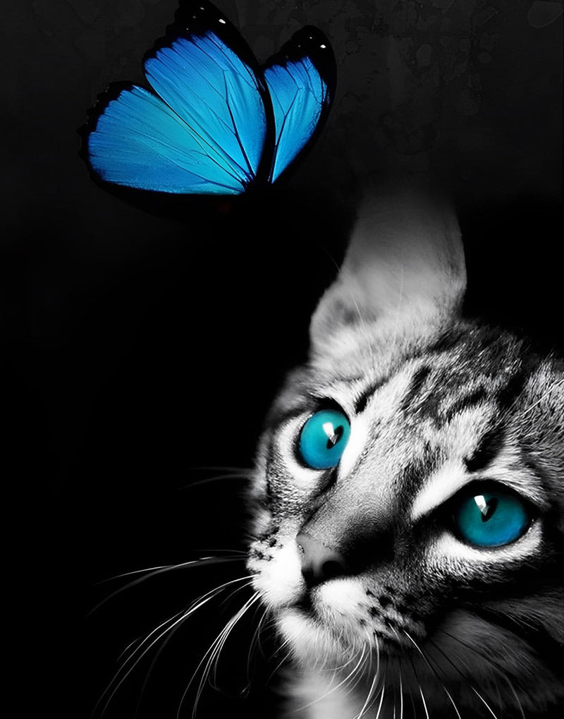 Chaton Rayé et Papillon Bleu Broderie Diamant