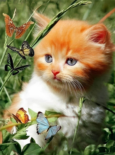 Chaton Roux et des Papillons Broderie Diamant